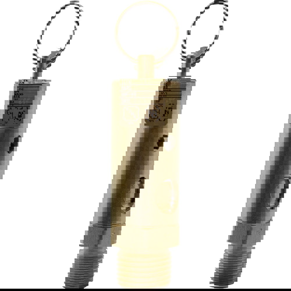 Air Relief Valve: 1/4